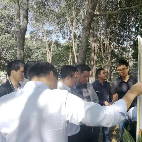 精品手游 第154页