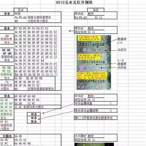 9910五水五红最新价格与市场趋势深度解析