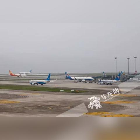 巫山机场建设最新进展报告速递