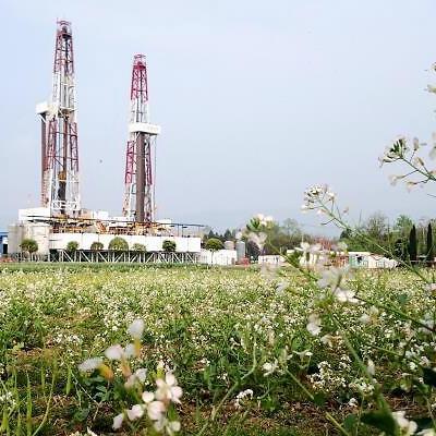 中国石化最新动态更新报道速递