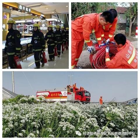 德州开发区最新招聘资讯