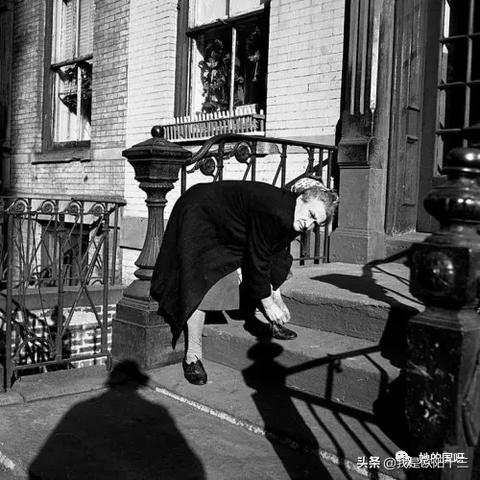 QQ宠物保姆下载，全方位照顾您的虚拟宠物伙伴