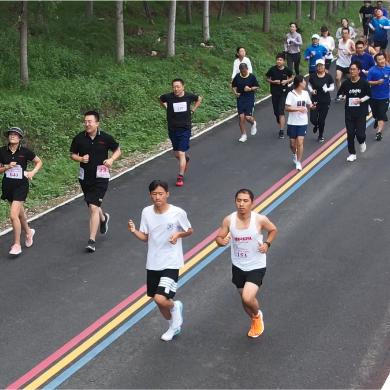 揭秘奔跑吧兄弟最新破解版，数据与深度解析