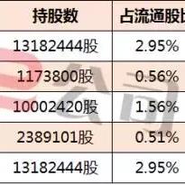 ST新梅最新动态更新