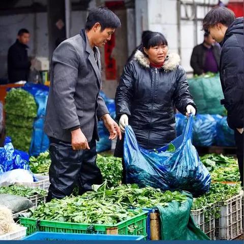 无为县土地公告最新消息
