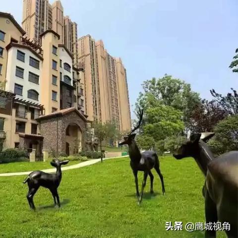 平顶山最新资讯，清风动态报道