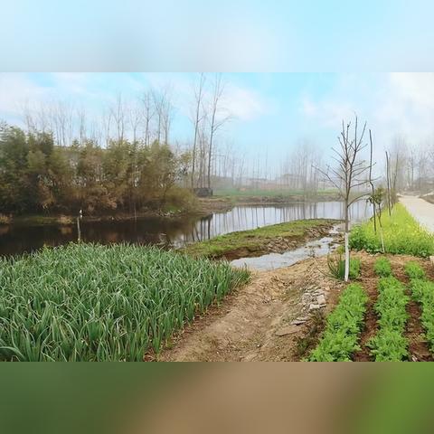 平顶山最新资讯,清风动态报道