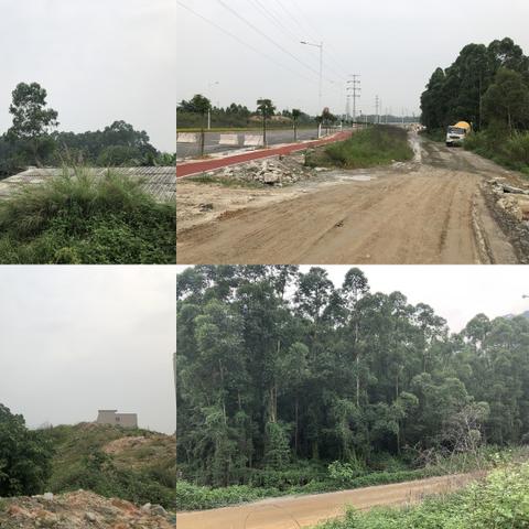 佛连高速最新动态更新