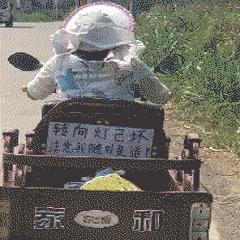 水陆战车的革新与未来战争形态的演变