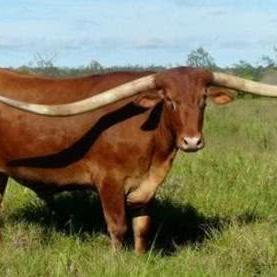 美国生育政策最新动态深度解析