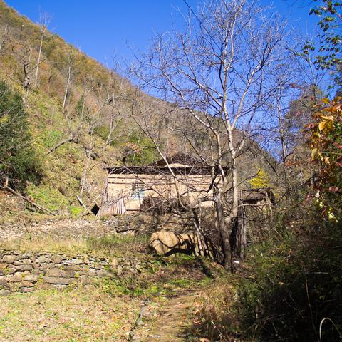 云墙最新版，重塑网络安全与隐私防线