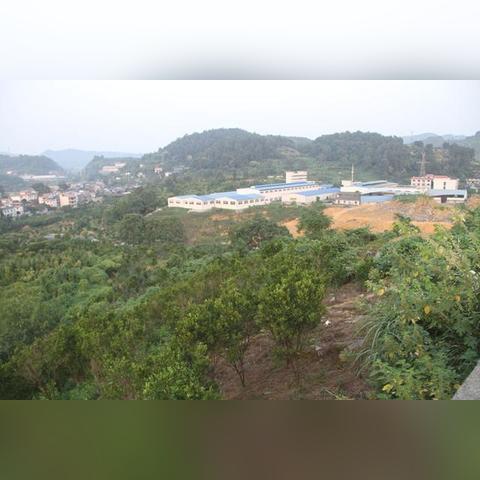 吉首乾州最新招聘信息汇总