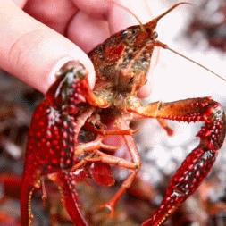 湖南售电最新动态更新