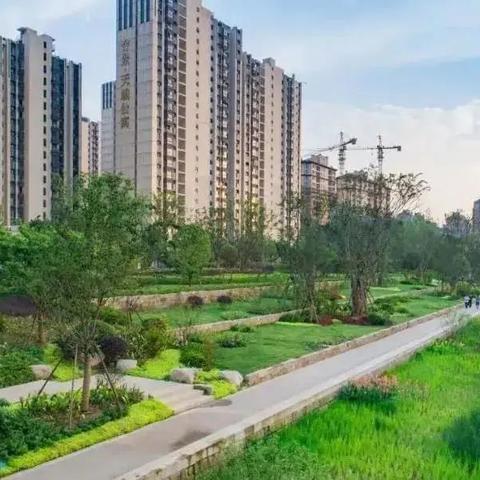 金点子招聘信息港实时动态解析