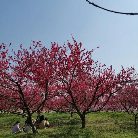 庐阳区三十岗动态更新