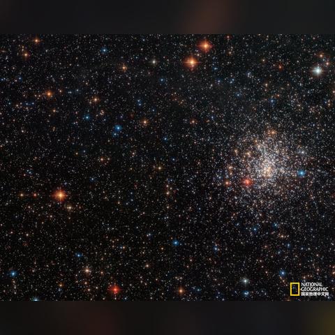 星光伴我行最新章节深度解析与概述