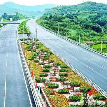 南台大道最新动态更新