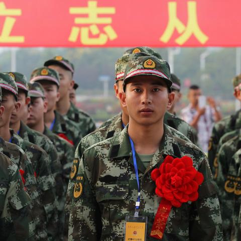 祁夜撩婚最新章节解析及深度探讨