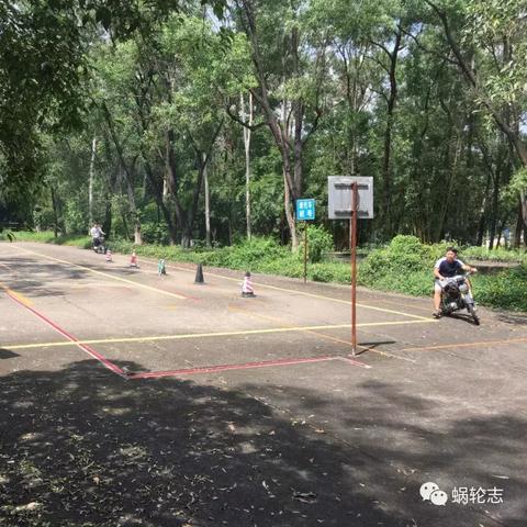 广州摩托车禁令最新动态