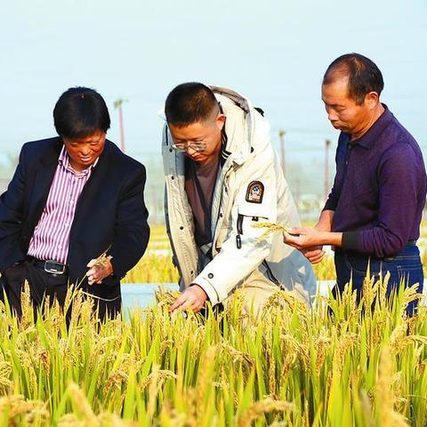 水蛭最新价格表（2025年预测）