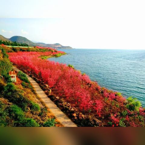 昆明小时工招聘热潮，机会与前景展望