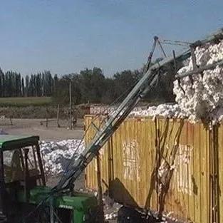 棉花补贴最新细则深度解读