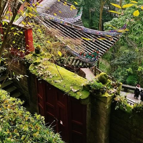 重庆非法集资动态更新