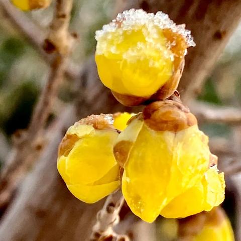 邯郸龙湖公馆最新资讯更新