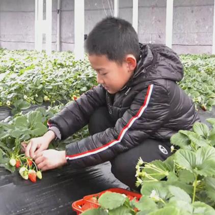 高密今晚新闻速递