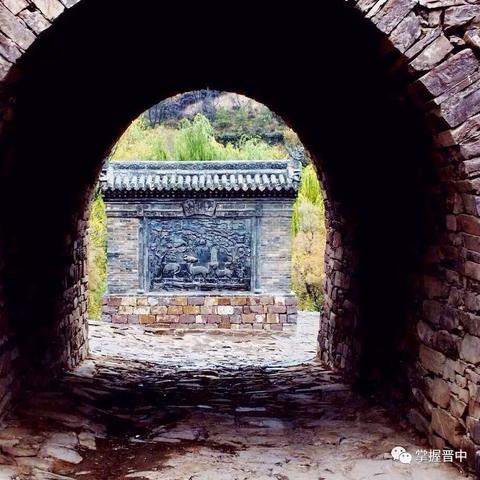 揭秘最新蜘蛛阵战术，战略解析与实战数据研究