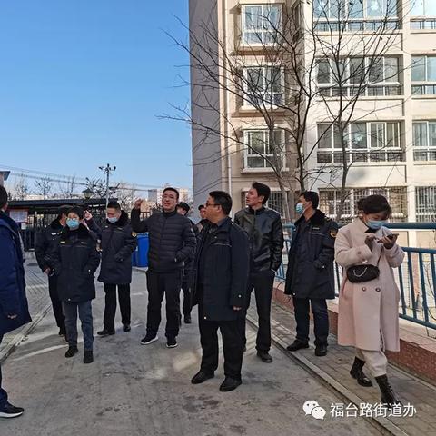 合肥凤台路改造最新进展深度解析