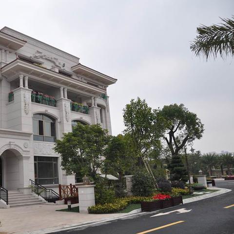 佛山龙江楼市最新动态深度解析