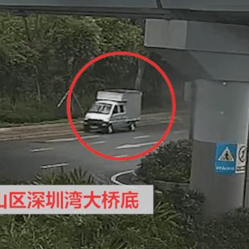 南山兵哥最新照片揭秘，背后的数据故事