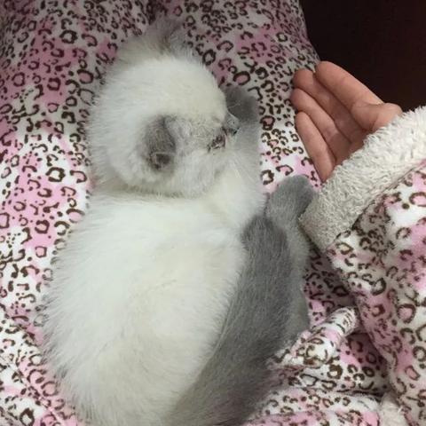 精品手游 第73页