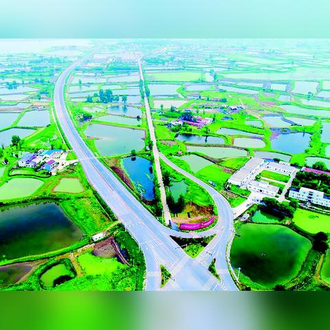 铁山至东沟公路进展更新报告