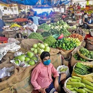 山东洋葱价格走势分析