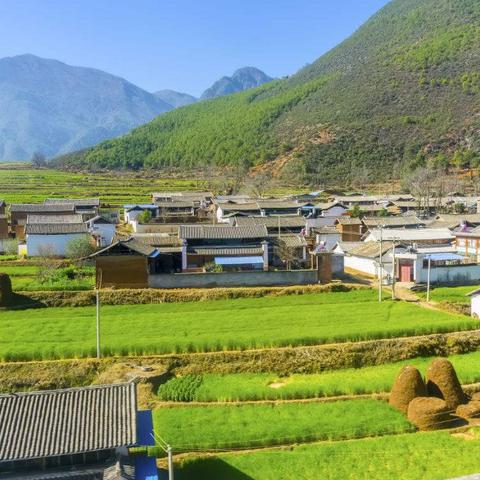 平原优质楼盘热销，投资优选好房源