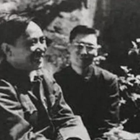 天津最新领导任命概览