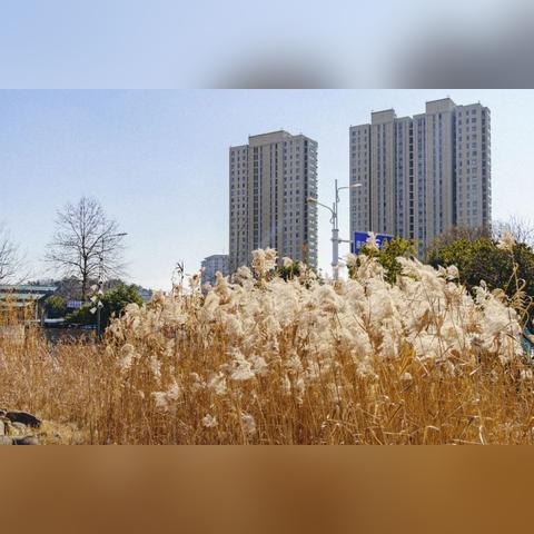 江宁镇老街规划揭秘，新面貌展望