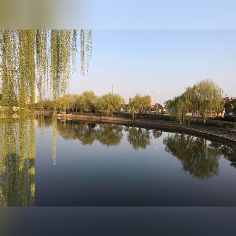 灌南未来房价趋势，2025年分析与预测