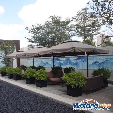 海口最新楼盘价格走势分析