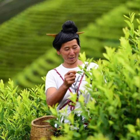 以色列打工最新情况解析