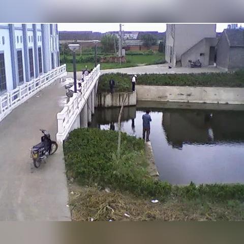 南宁最新开钓钓场，钓鱼爱好者的天堂