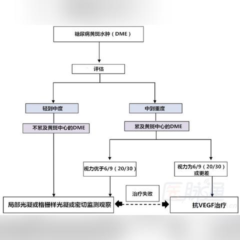 NXJX.UK最新数据分析报告发布
