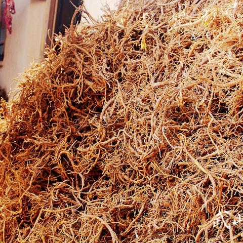 长豆角产地最新行情分析