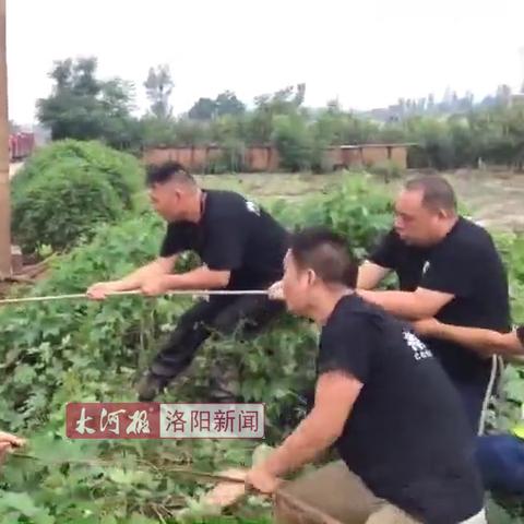 偃师司机招聘，最新信息及岗位要求