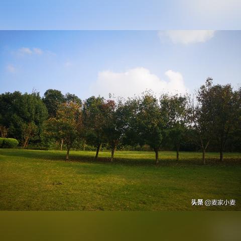 保利狮子湖最新信息全面解析