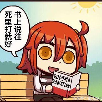 FGO每日素材本攻略大全及数据解析