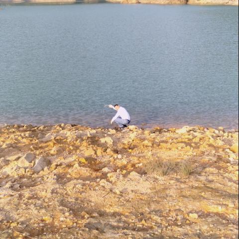 增城拍地结果最新分析简报