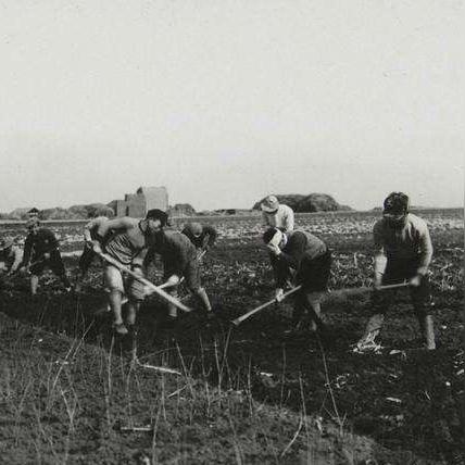 山东废铁价格走势分析最新报告